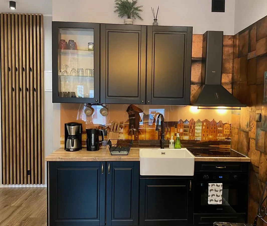 Apartament Zielony Lub Bursztynowy Z Parkingiem Stare Miasto 格但斯克 公寓